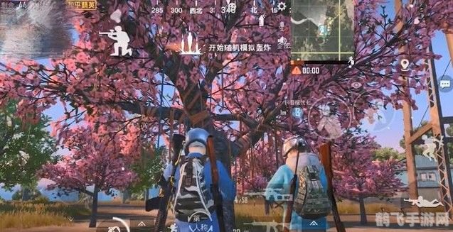 观赏性樱花树果实探秘,游戏中的隐藏宝藏 观赏性樱花树果实探秘,游戏中的隐藏宝藏