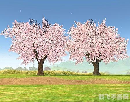 观赏性樱花树果实探秘,游戏中的隐藏宝藏 观赏性樱花树果实探秘,游戏中的隐藏宝藏