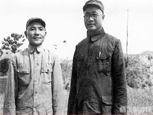 狐狸大乱斗热血激战，策略与技巧全解析
