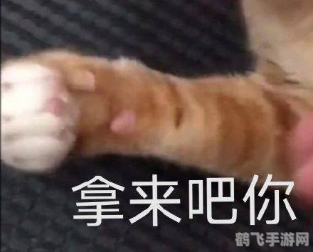 拿来吧你的起源