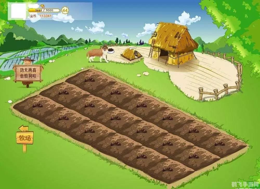 农场牧场偷匪最新版,农场经营