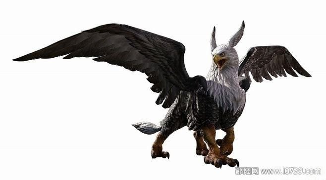 驯服狮鹫攻略,手游中的空中霸主