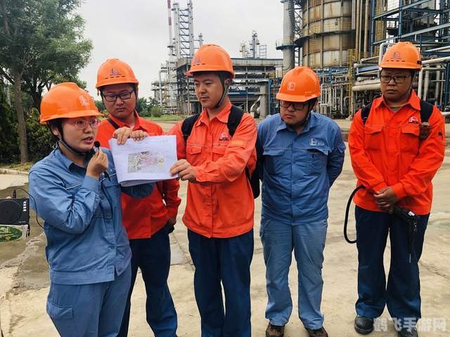 大象的防晒秘籍，探索自然界的智慧