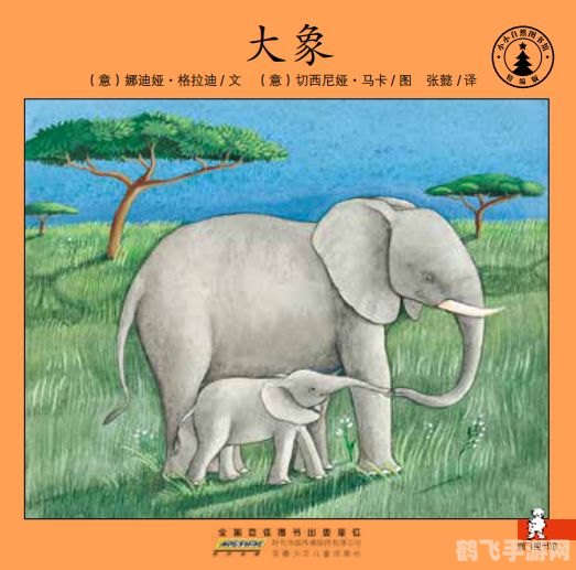 大象的防晒秘籍,探索自然界的智慧