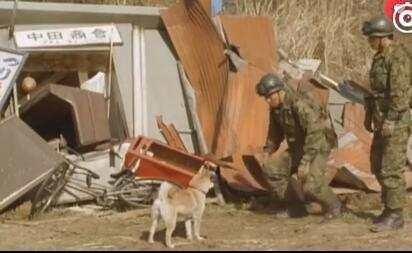 超级玛丽大冒险手游攻略,跳跃、探险与战胜敌人的秘诀