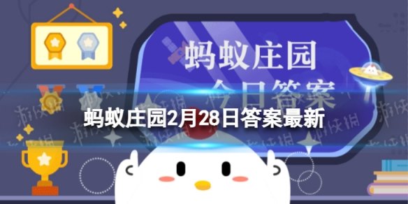 手游职场风云升职换岗攻略,试用期再设定的智慧