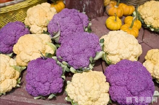 清炒紫色花菜时,梦幻花菜园,清炒紫色花菜秘籍
