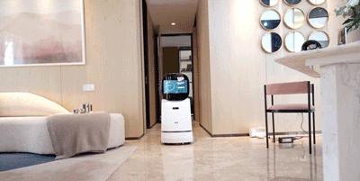 补魔的黑蔷薇手游攻略，征服黑暗，绽放蔷薇之力