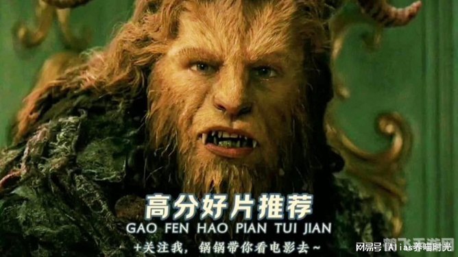 bgmbgmbgm多毛老太太,玩转手游，老太太的多毛冒险之旅攻略