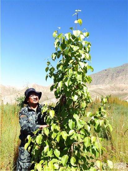 揭秘晶黄果之源,探寻哪个县孕育了这一美味