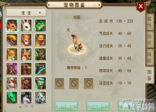 问道宠物名字,问道宠物命名指南，打造个性化战斗伙伴