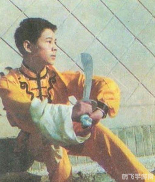 功夫世界sf,功夫世界SF手游攻略,成为武林高手的秘诀