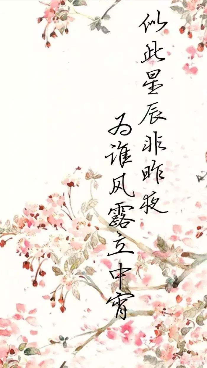 星辰变12劫散仙等级对应,散仙等级与实力划分