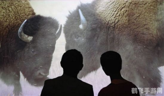 哪种动物的瞳孔是方形的,探索神秘动物世界，揭秘方形瞳孔的奇特生物