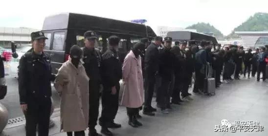 网店大师软件,网店大师软件