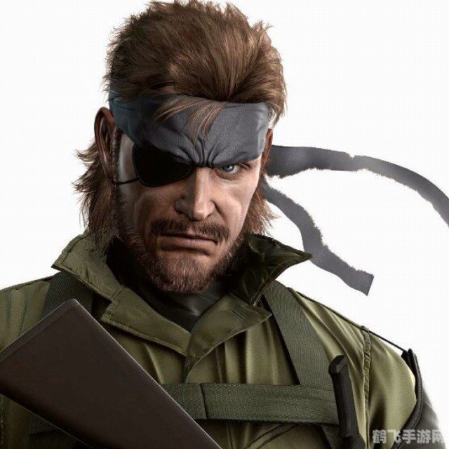 索利德斯内克手游攻略,成为顶级特工的秘诀