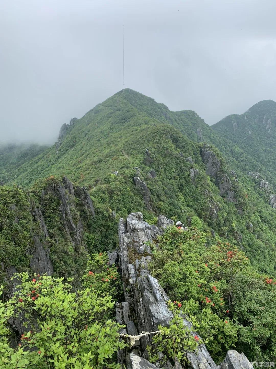 一起去爬山吗什么梗,一起去爬山吗