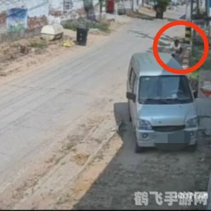 冠县北馆陶镇郎庄村,冠县北馆陶镇郎庄村,探秘隐藏在游戏中的古村落