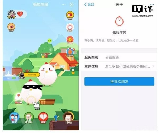 我们看到喜欢的人蚂蚁庄园,蚂蚁庄园