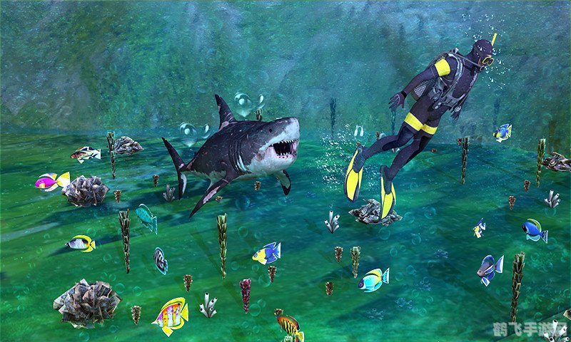 飞禽走兽鲨鱼游戏,深海狩猎新体验