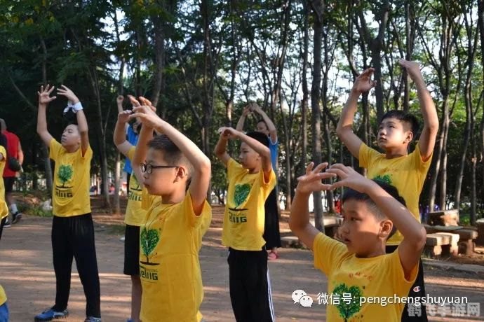 有人喜欢天不亮就起床锻炼身体,黎明健身狂潮,探索晨练与游戏世界的奇妙交融