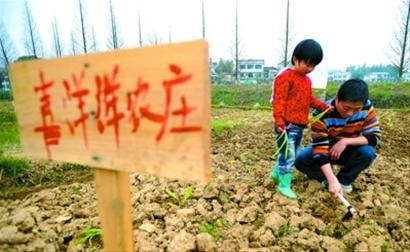 开心农场偷菜种菜攻略，打造你的繁荣农场