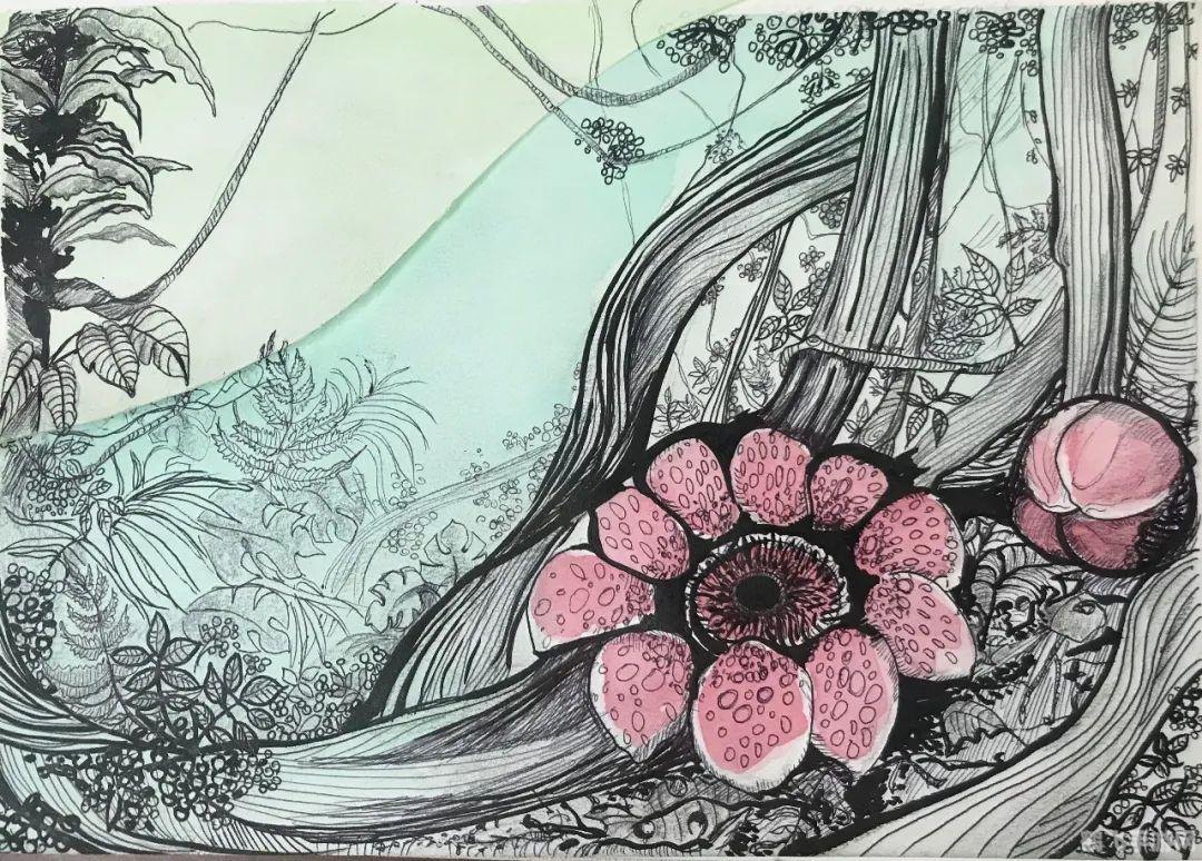 蛋神奇踪小游戏,蛋神奇踪小游戏探险之旅开启!