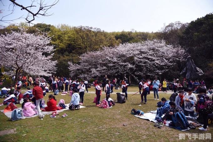 亲吻那片花瓣手游攻略,如何成为花瓣亲吻大师