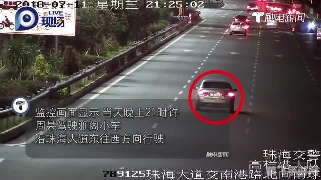 斑马和斑马线有关系吗,斑马与斑马线,一段有趣的跨界关联