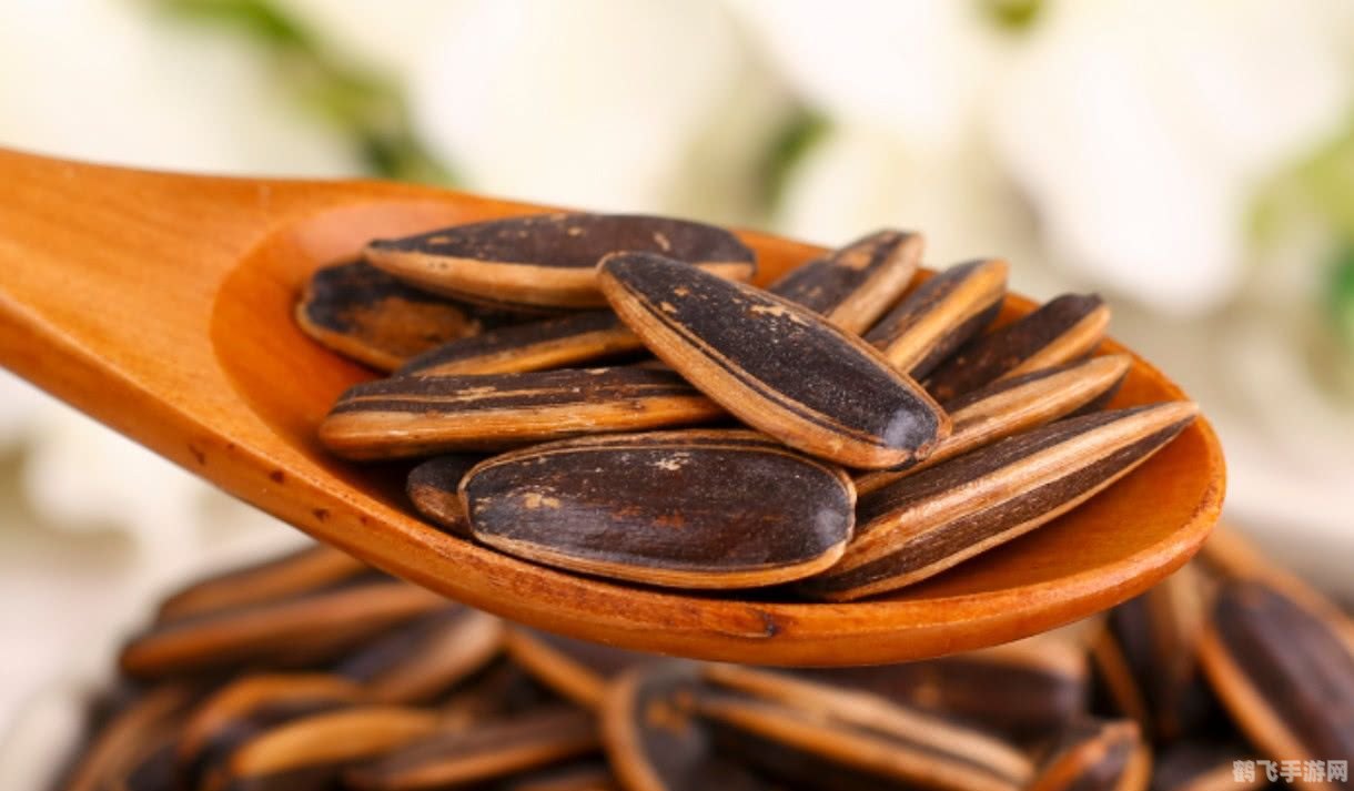 瓜子是过年时的标配零食,瓜子与游戏，过年标配零食陪你征战虚拟世界