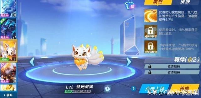 qq飞车宠物名,QQ飞车手游,宠物选择与培养全攻略