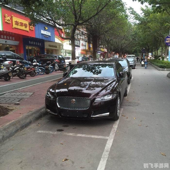 问道黑豹子,问道黑豹子手游攻略,掌握这些技巧,轻松征服黑豹子!