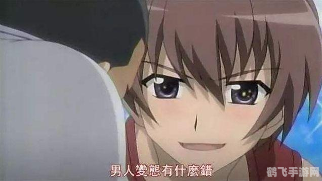 lsp是什么梗,揭秘LSP梗,老色批背后的调侃与游戏文化解析