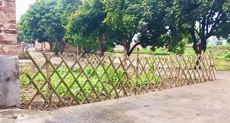 QQ农场开通及游戏攻略