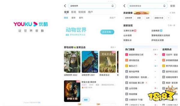 优酷国际版手游攻略,探索全球影视,畅享游戏乐趣