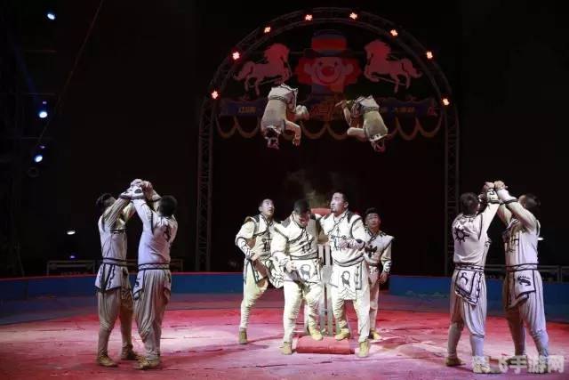 马戏团团手游全攻略,成为马戏大师的秘诀!