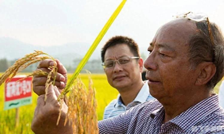 半世界之旅手游攻略,探索奇幻半世界