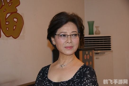 小8与赵洁离婚引热议,手游中的情感纠葛与攻略解析