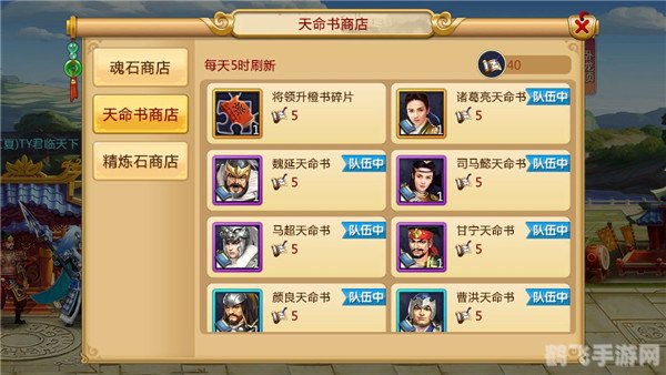 胡莱三国战兽,胡莱三国战兽手游攻略,培育与战斗技巧大揭秘