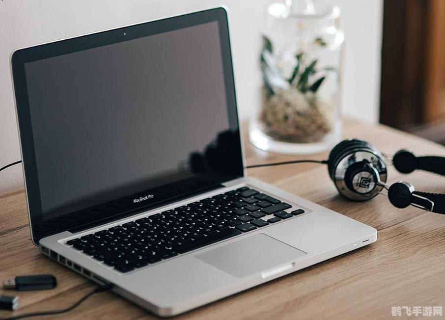 生化危机6黑屏,生化危机6黑屏问题解析与应对攻略