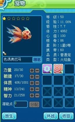 新飞飞手游宠物加点全攻略,打造你的专属战宠!