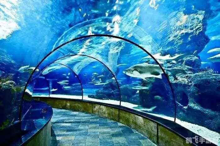 梦幻水族馆探秘，打造你的海洋奇趣世界