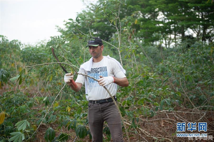 血战缅甸游戏攻略,血战缅甸手游全面攻略,征战热带战场的必胜法则