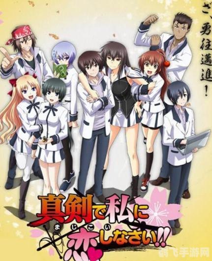 请认真和我恋爱游戏,请认真和我恋爱手游攻略，恋爱与策略的双重魅力