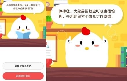 小鸡庄园今日答题攻略,轻松应对,智慧取胜