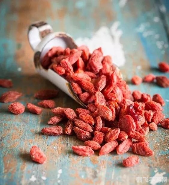 枸杞颜色越鲜艳越好吗,手游枸杞大冒险攻略,挑选最鲜艳的枸杞,开启你的冒险之旅!