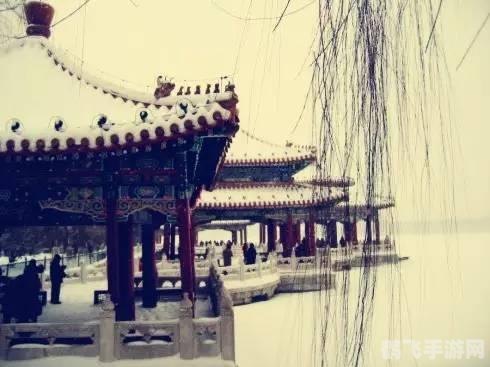 黑暗之尘的奥秘,手游中的关键元素与利用策略