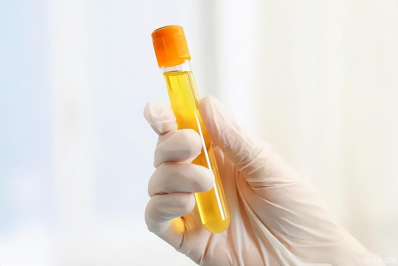 357游戏网,357游戏网揭秘最新游戏攻略与资讯,成为游戏高手!