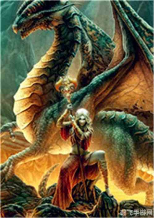 龙背上的骑兵探秘,征服巨龙的策略与技巧