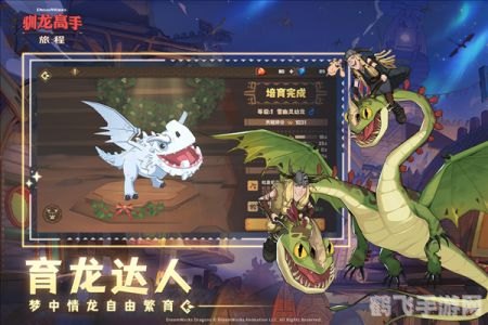 龙ol手游攻略,巧妙应对少女的刁难,成为驯龙高手!